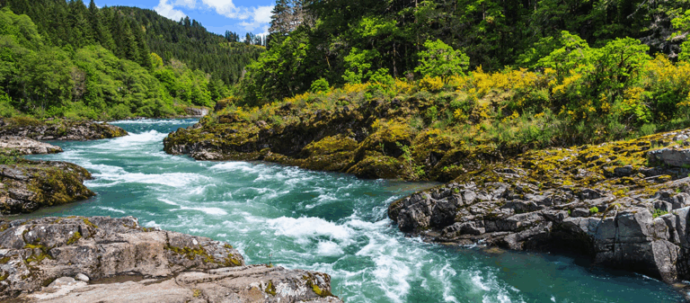 Sustainable watershed management